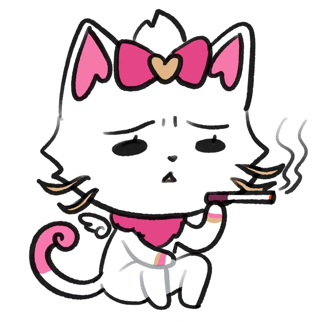 🌈扣1送我吃剩的小馋猫烤肉拌饭