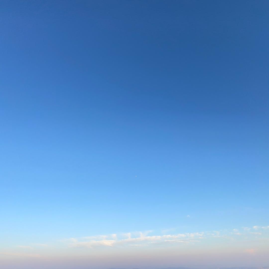 花相随