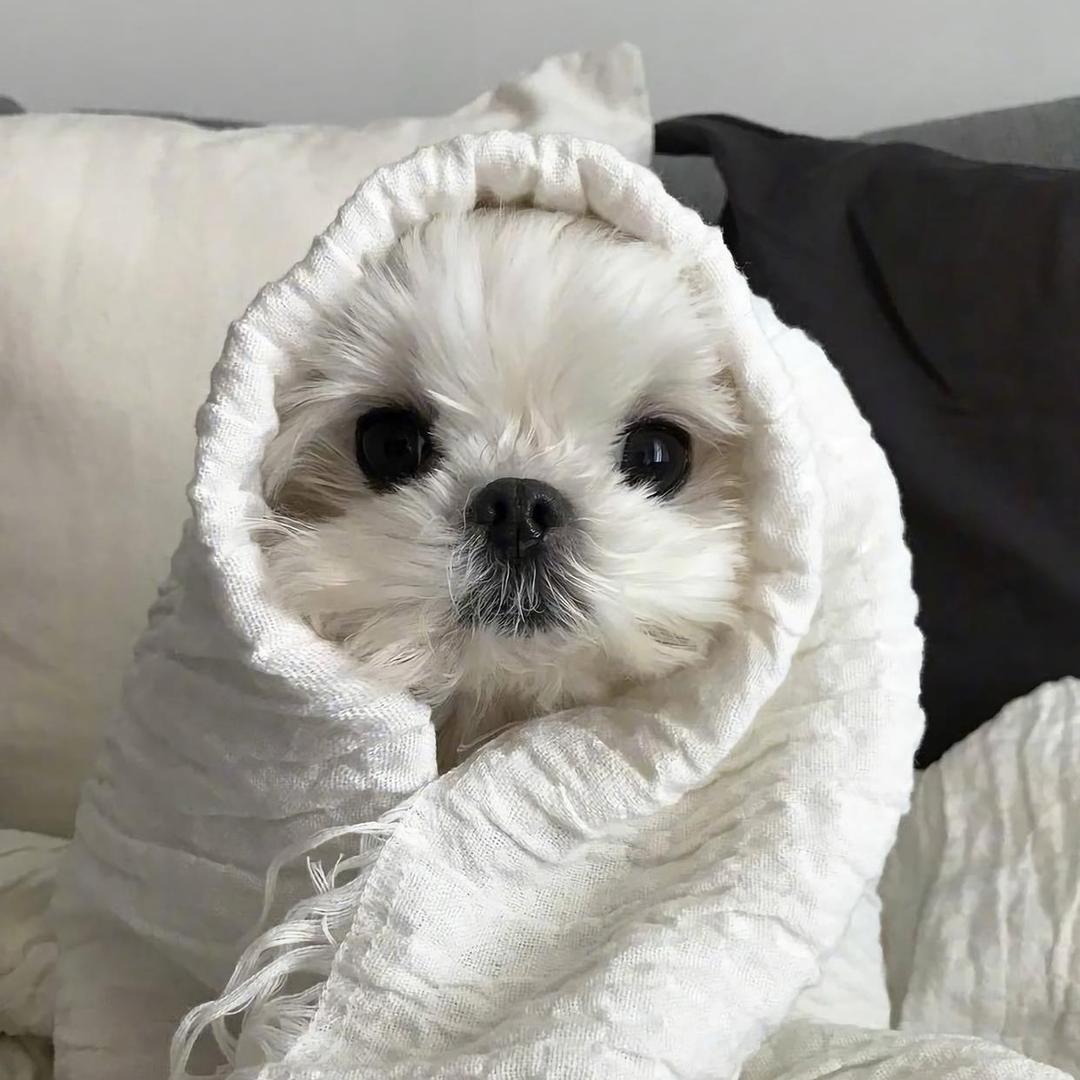 Kele（无畏契约）