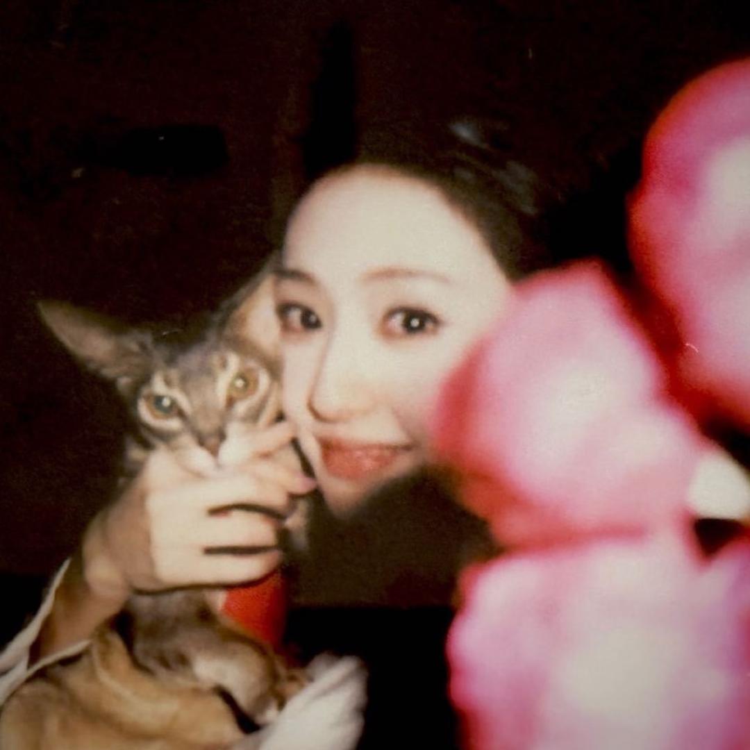 小甜心·