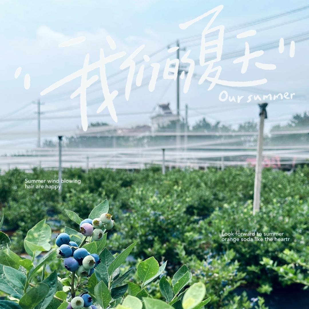 果树下的Vivi姐