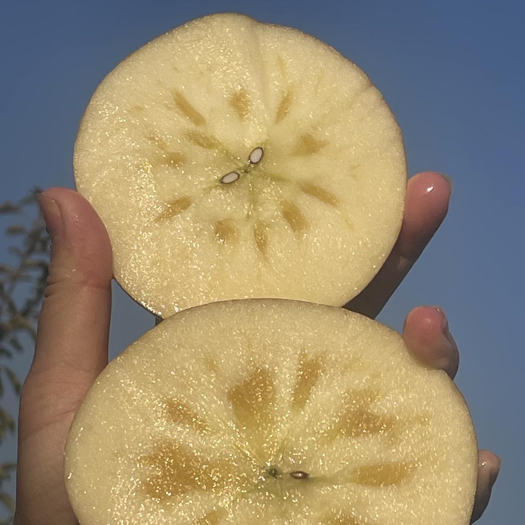 新疆阿克苏苹果好甜