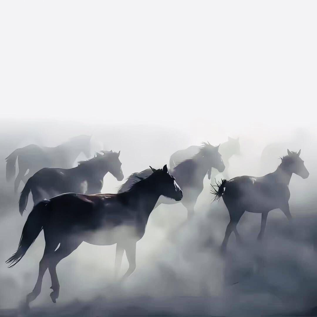 阿泽
