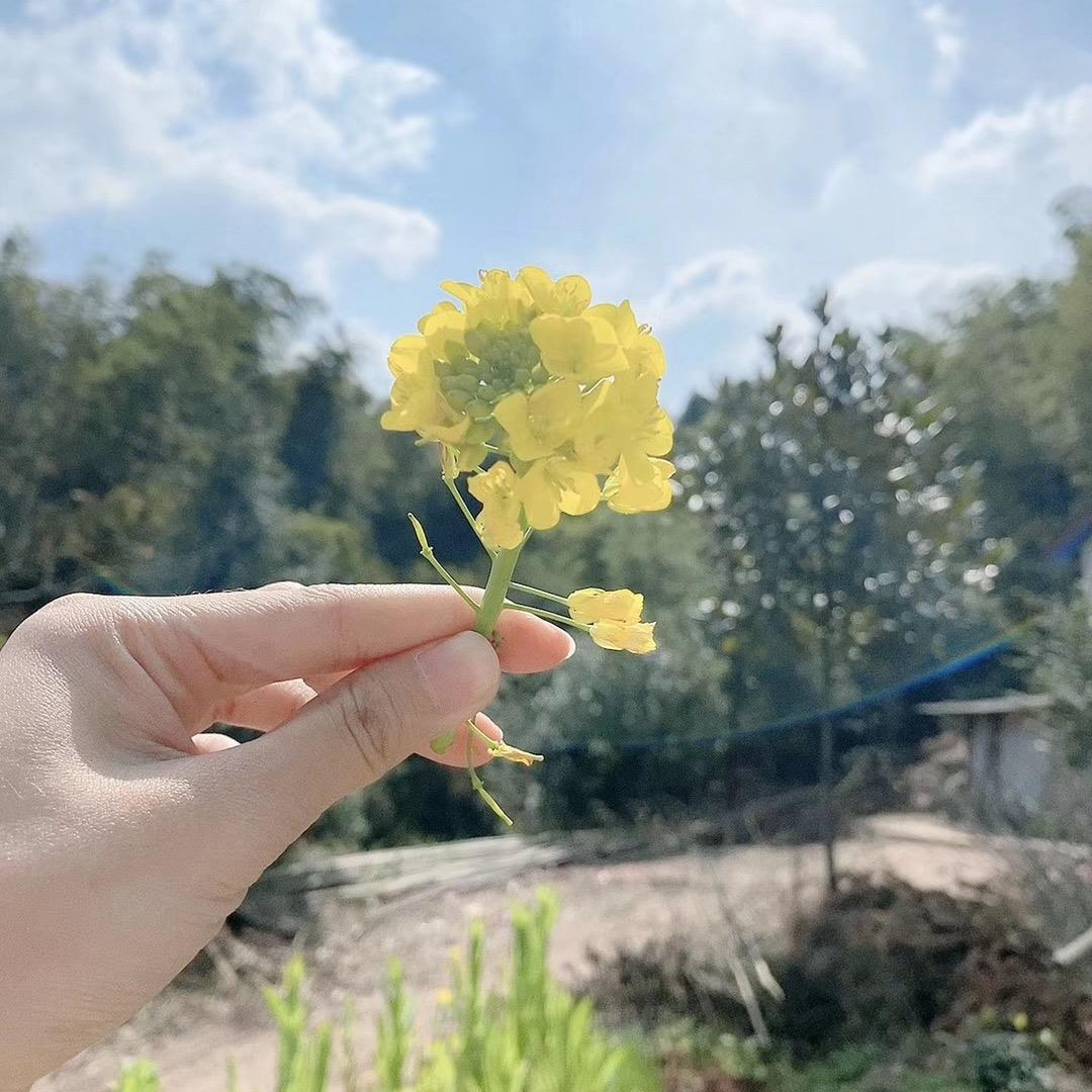 渐晚