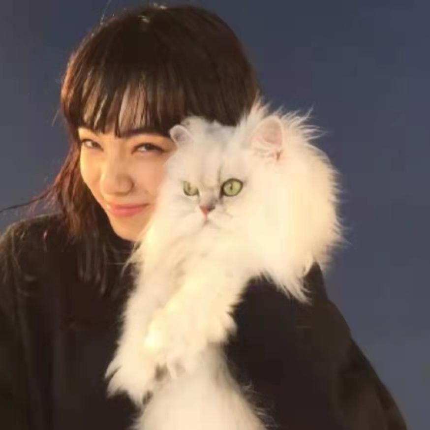 十七.