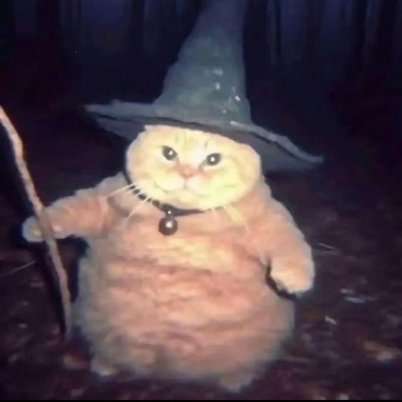 专业修下水道师傅