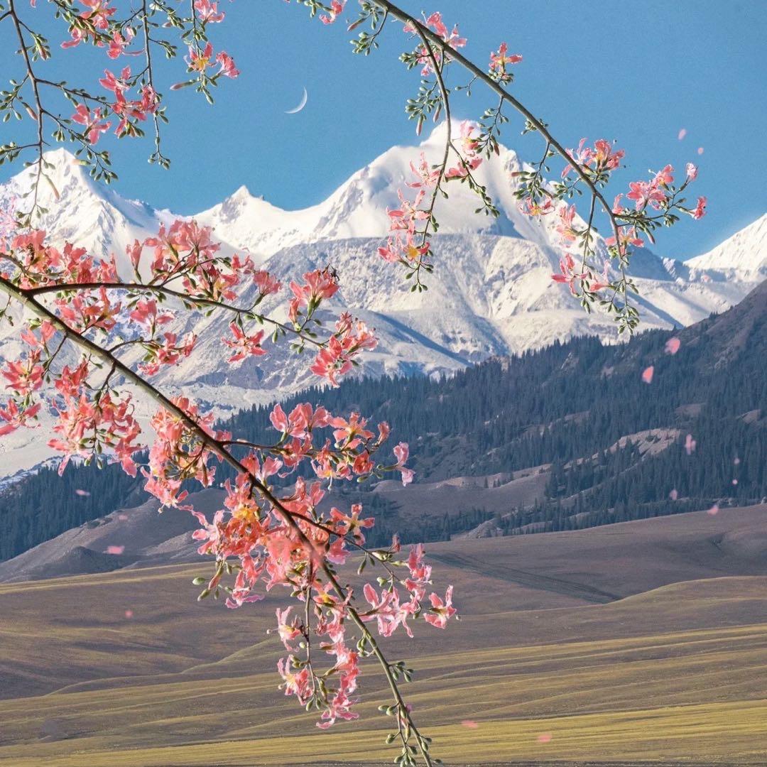 哈哈哈哈哈哈哈哈哈