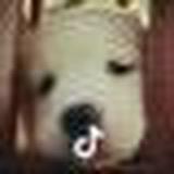 彭于晏北京分晏