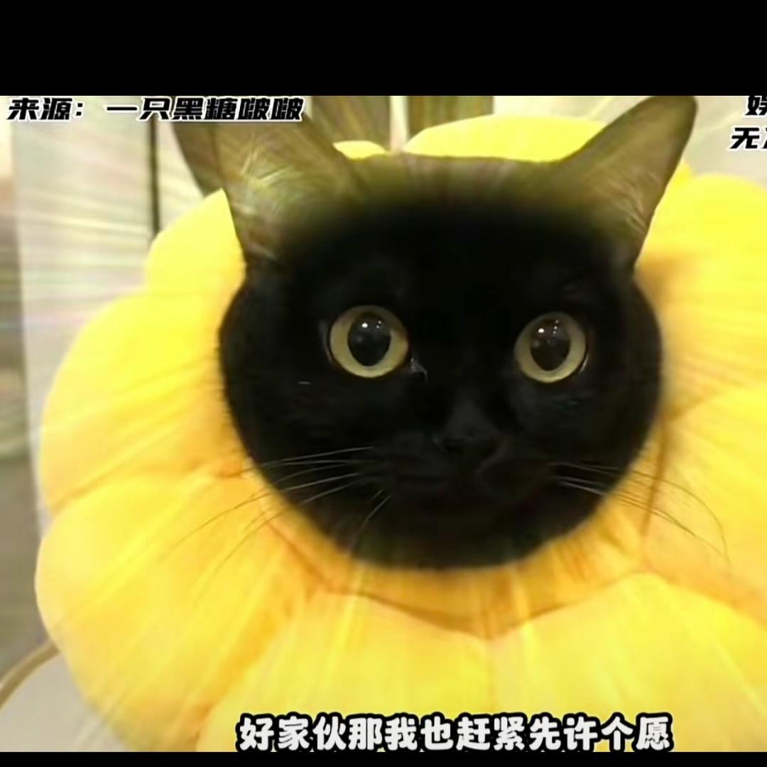 开心超人