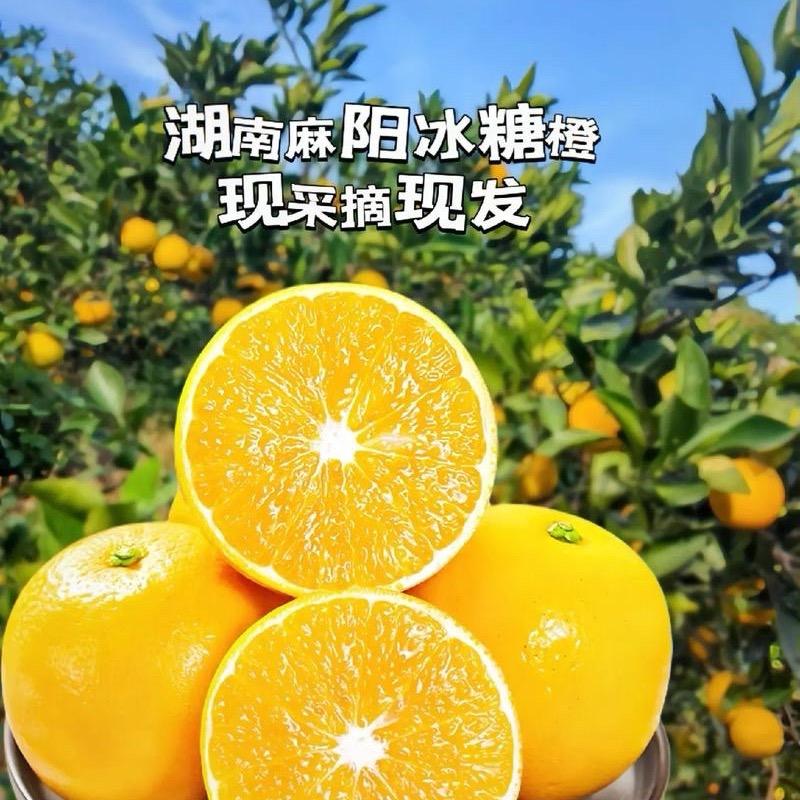 麻阳向向鲜橙铺(产地直销)