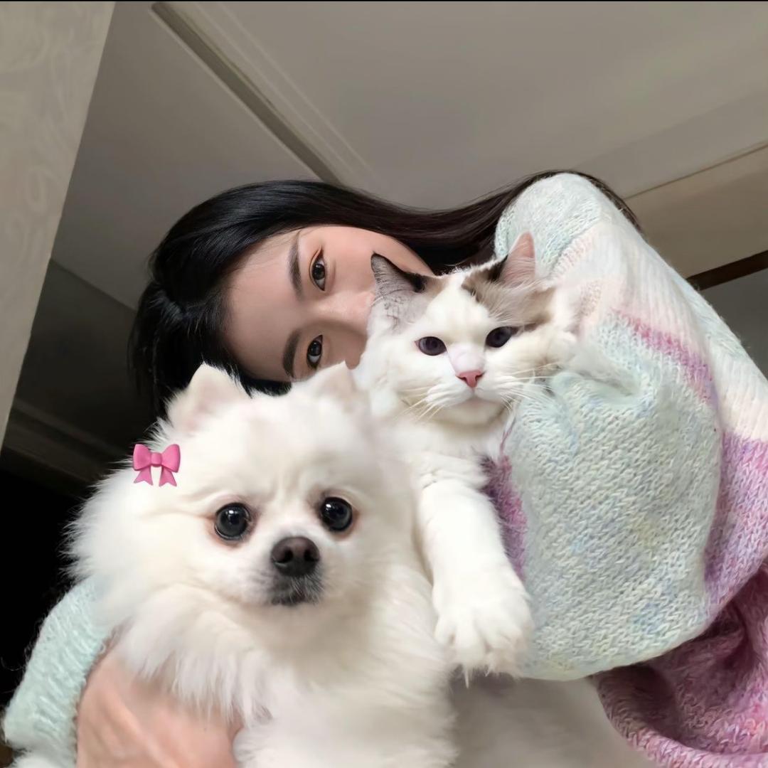 乔木（见过张杰版）