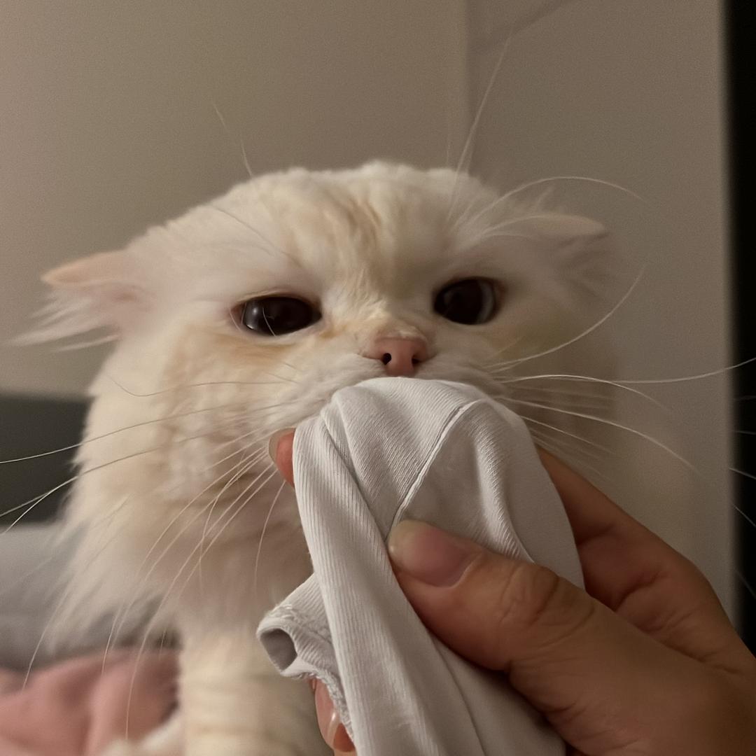 挞挞挞