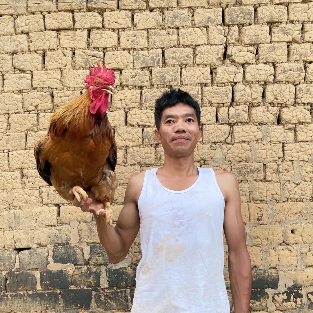 广西码王（黄盛）