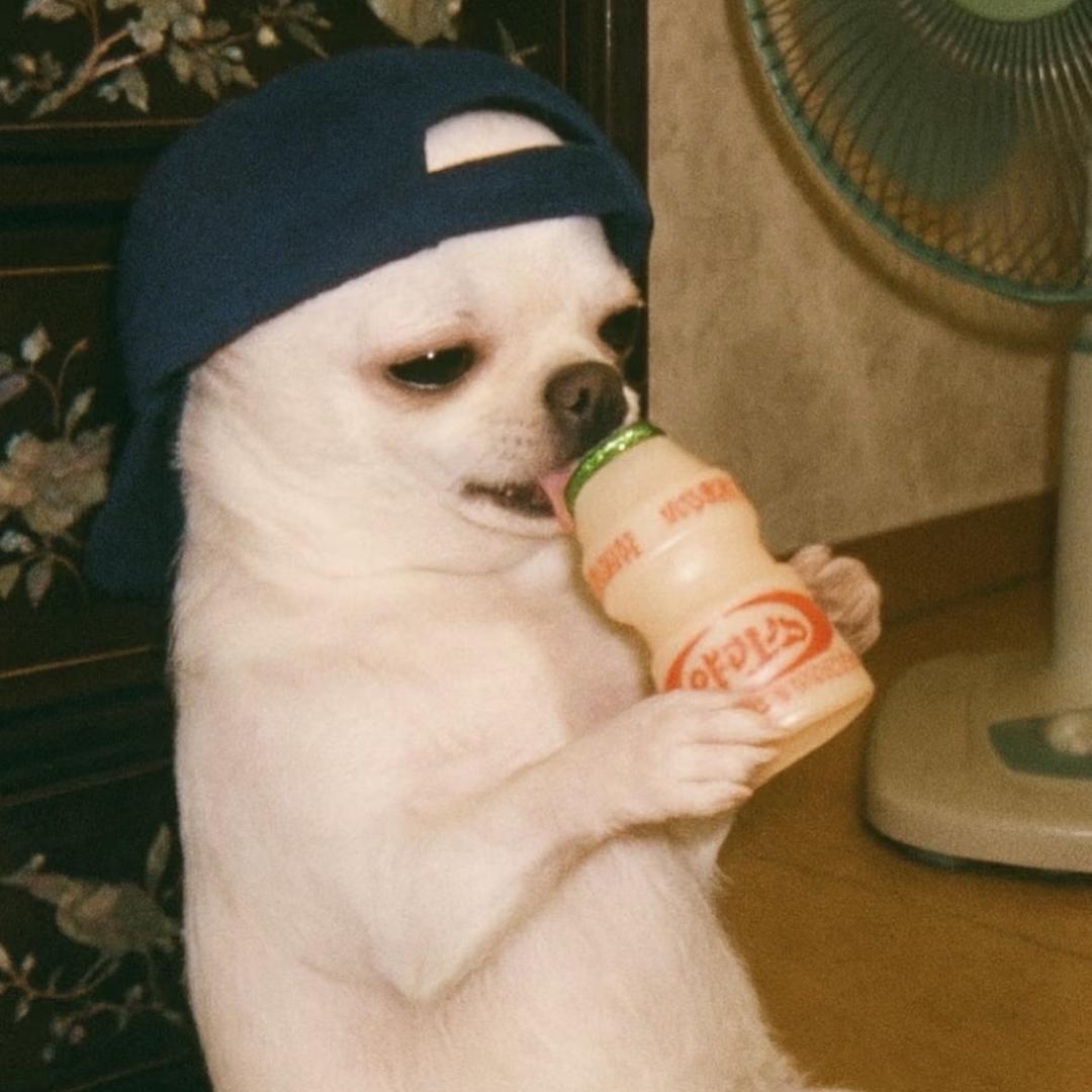wude