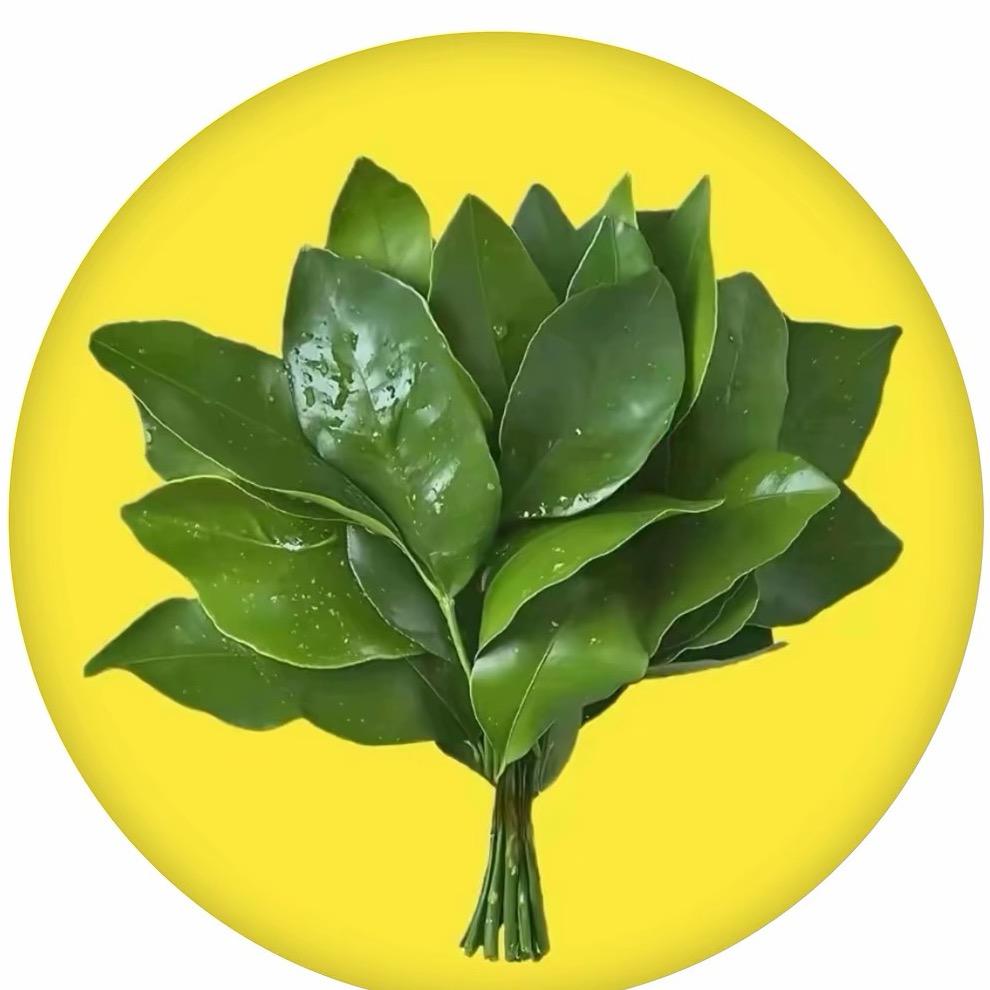 香格里中山路811