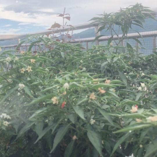 中锐工厂店