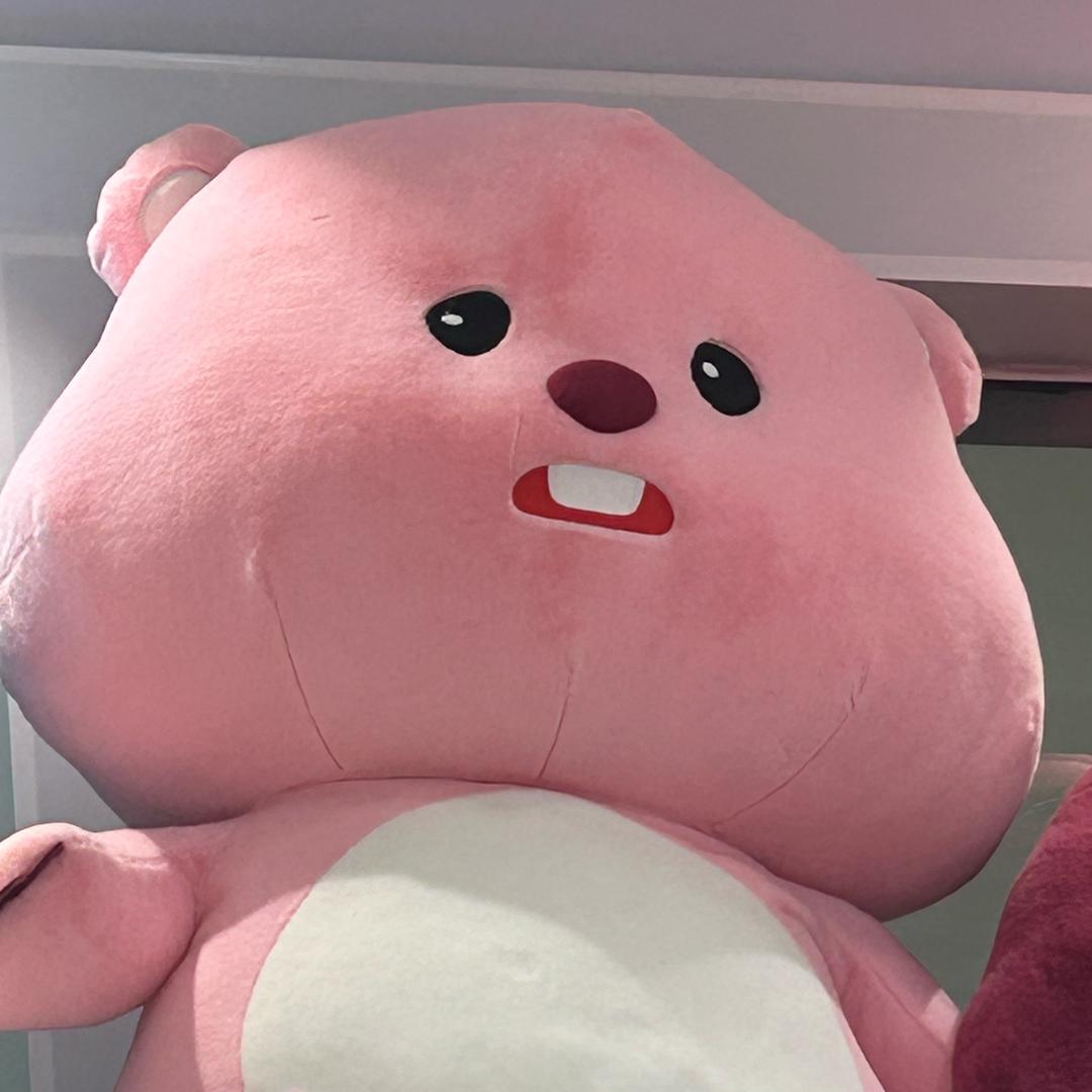 一颗蛋挞橙