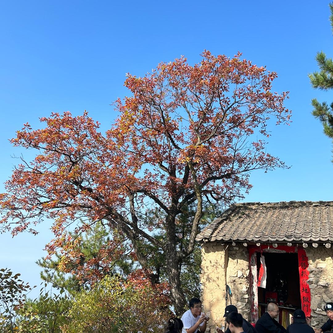 人生，都是一场梦