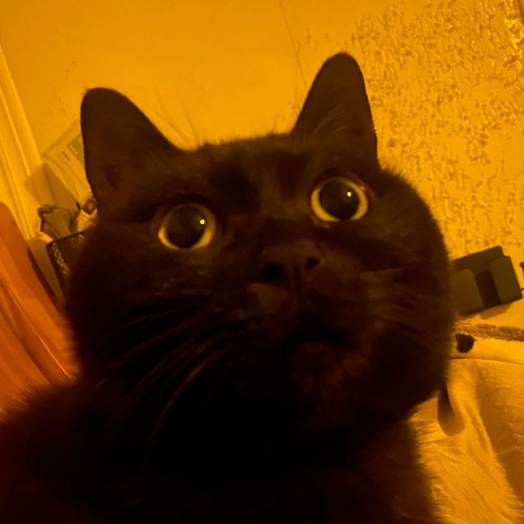 H.L