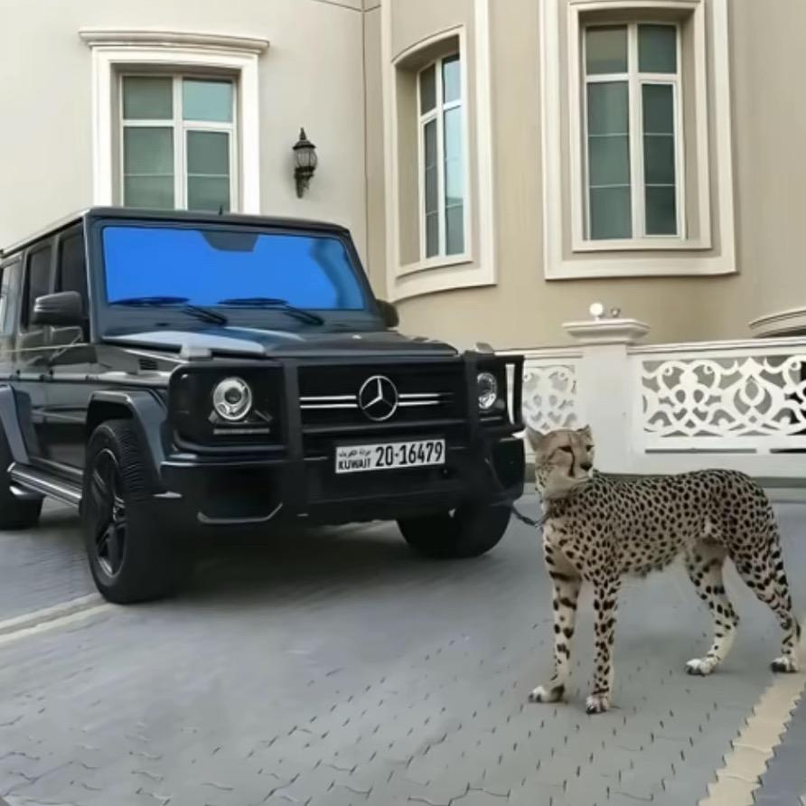 不瘦到150不改名