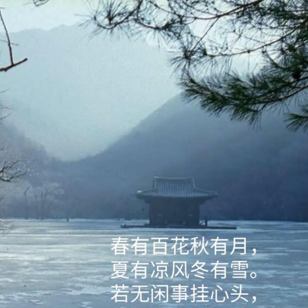 瓷言片语9003