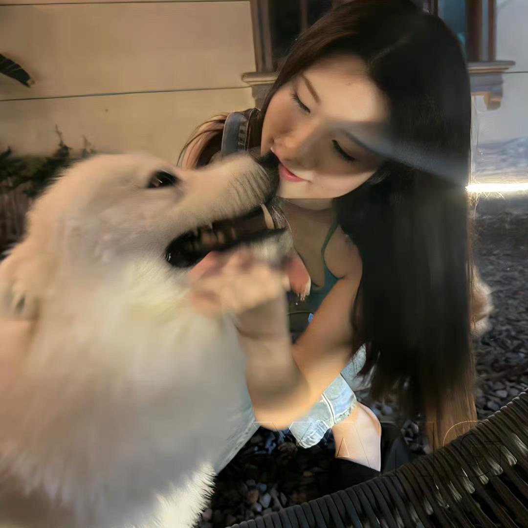 汤圆（可丝）