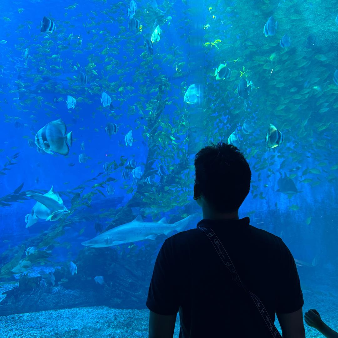 中环高科CMA检测～刘