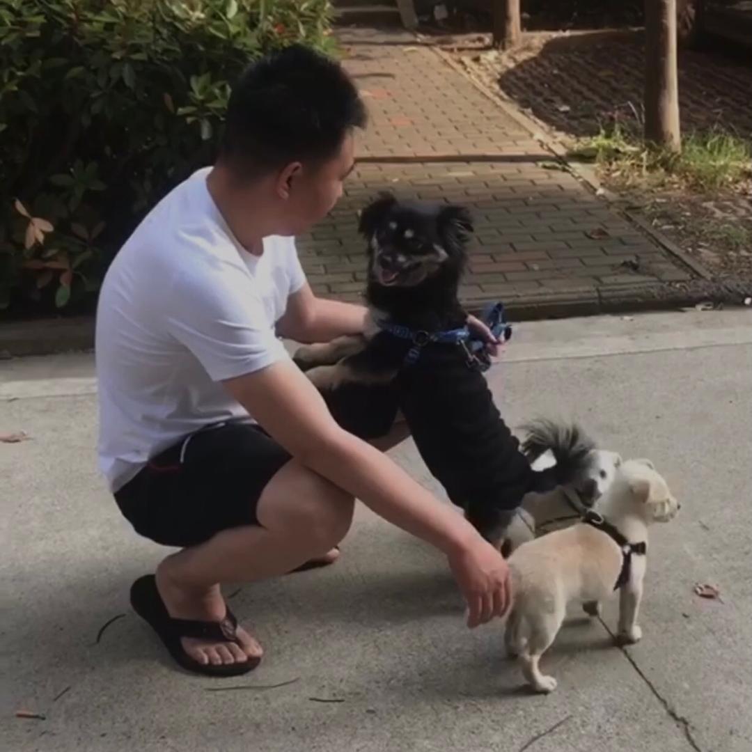 西卡