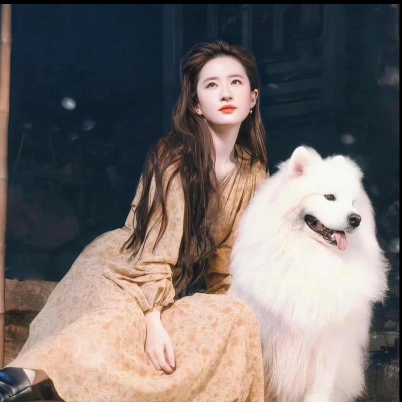 🌟✨✨