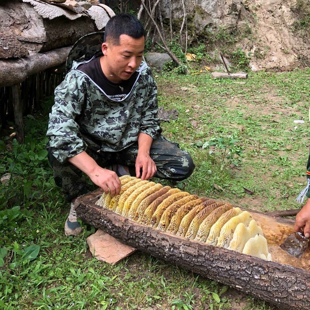 秦岭蜂蜜小哥