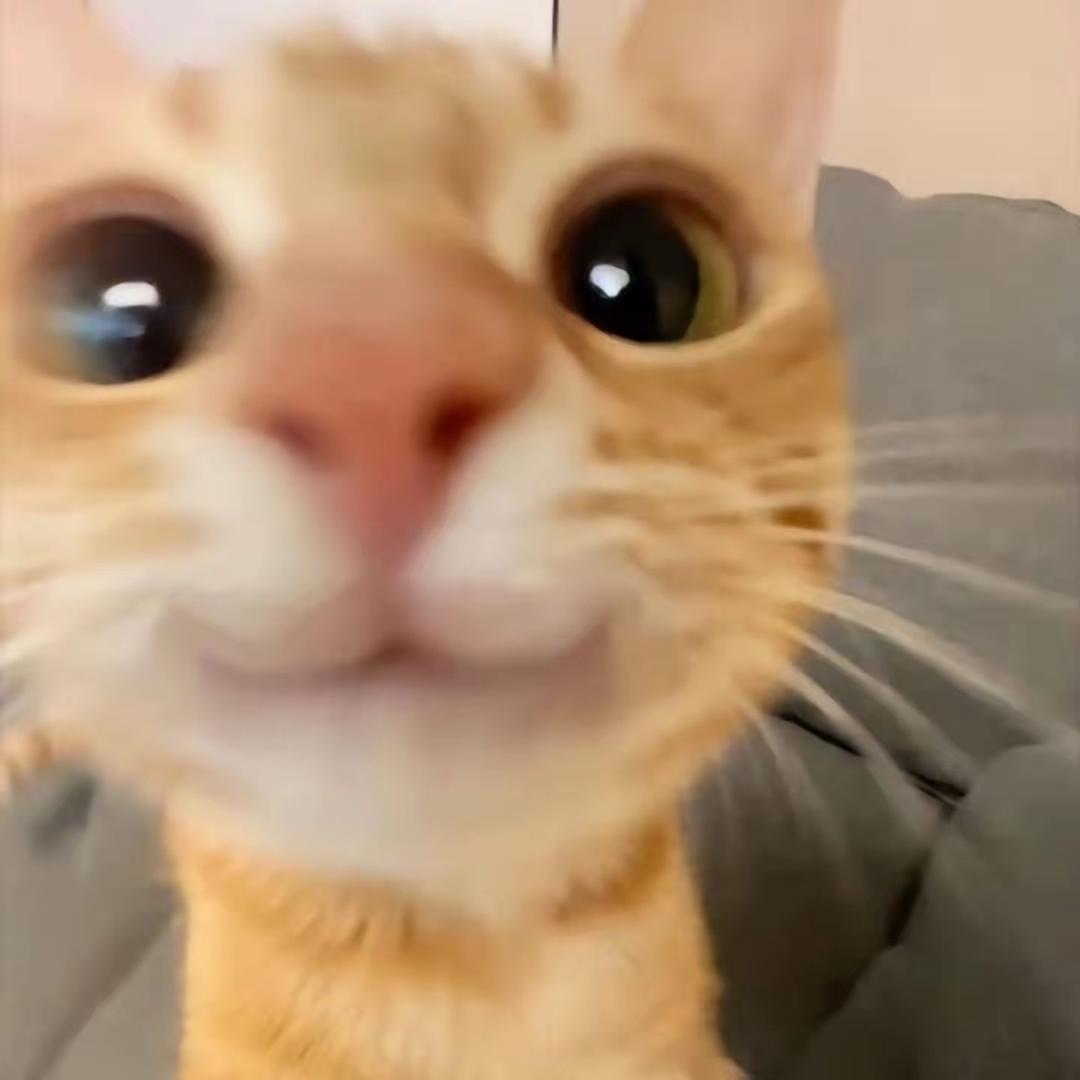 盼日束春光