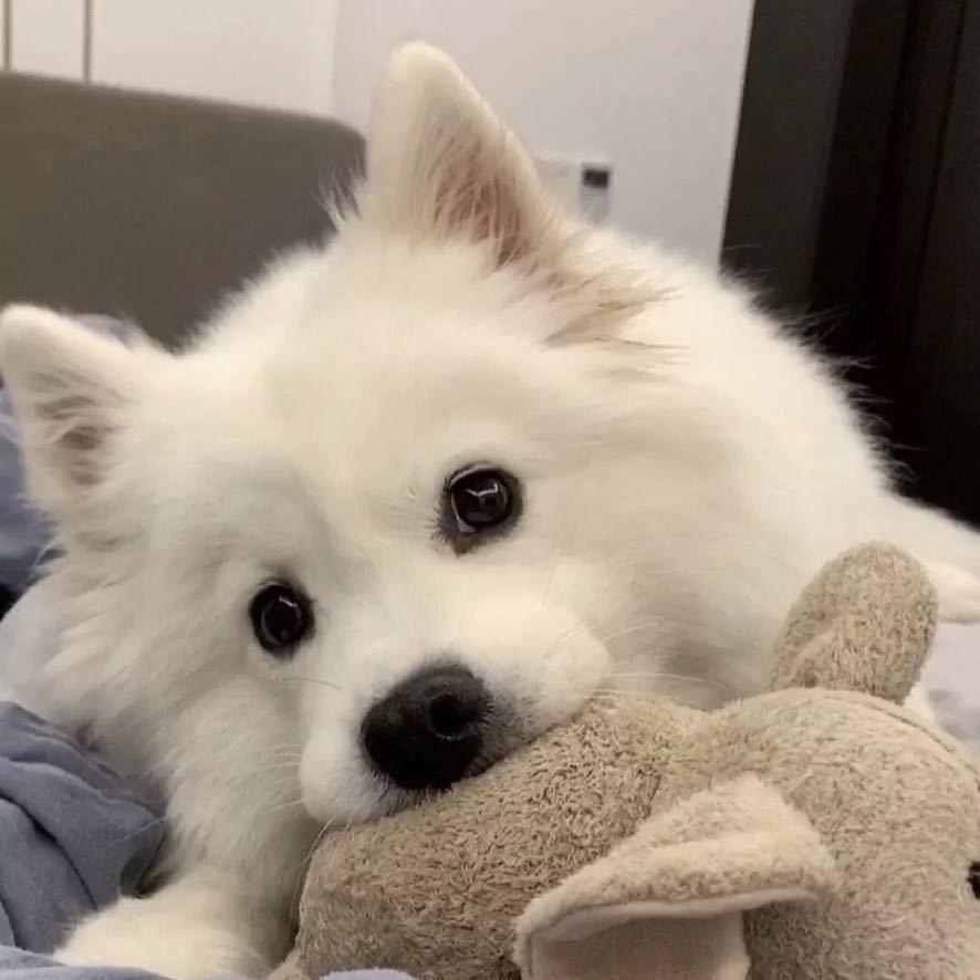 痴呆瘫痪在床凌晨没憋住屎被护工爆打