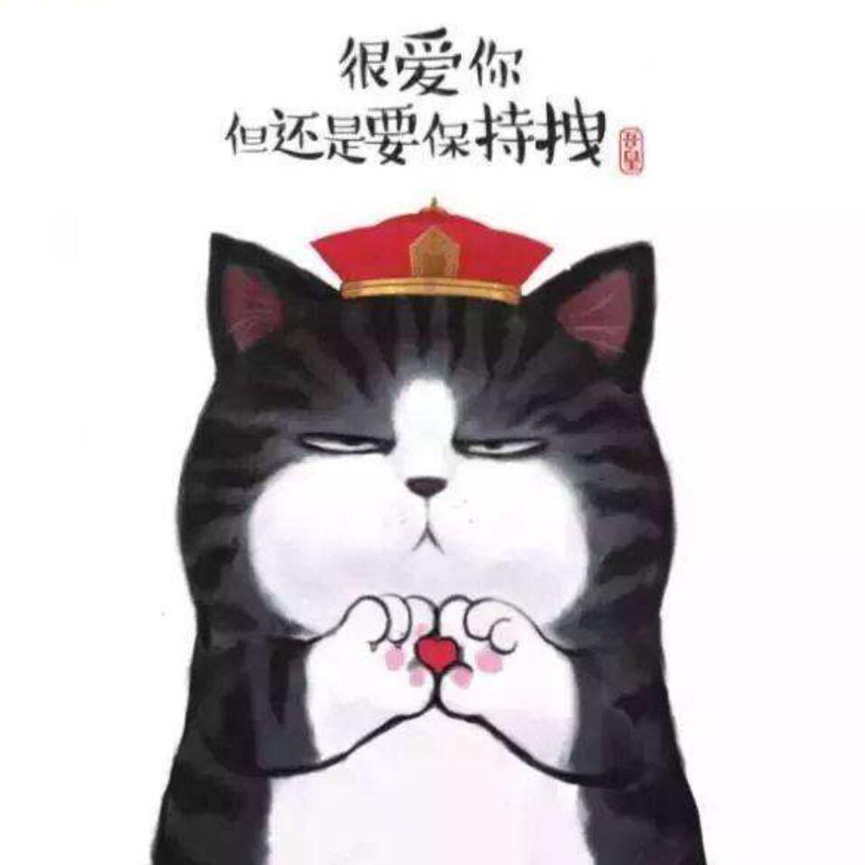 人间一两风 又怎能填你十万八千梦