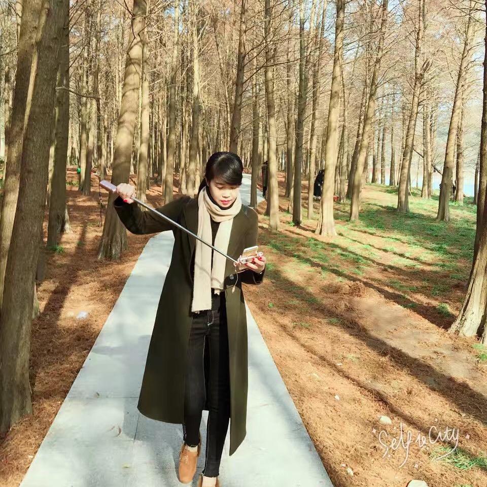 绿迪园林(YLP)