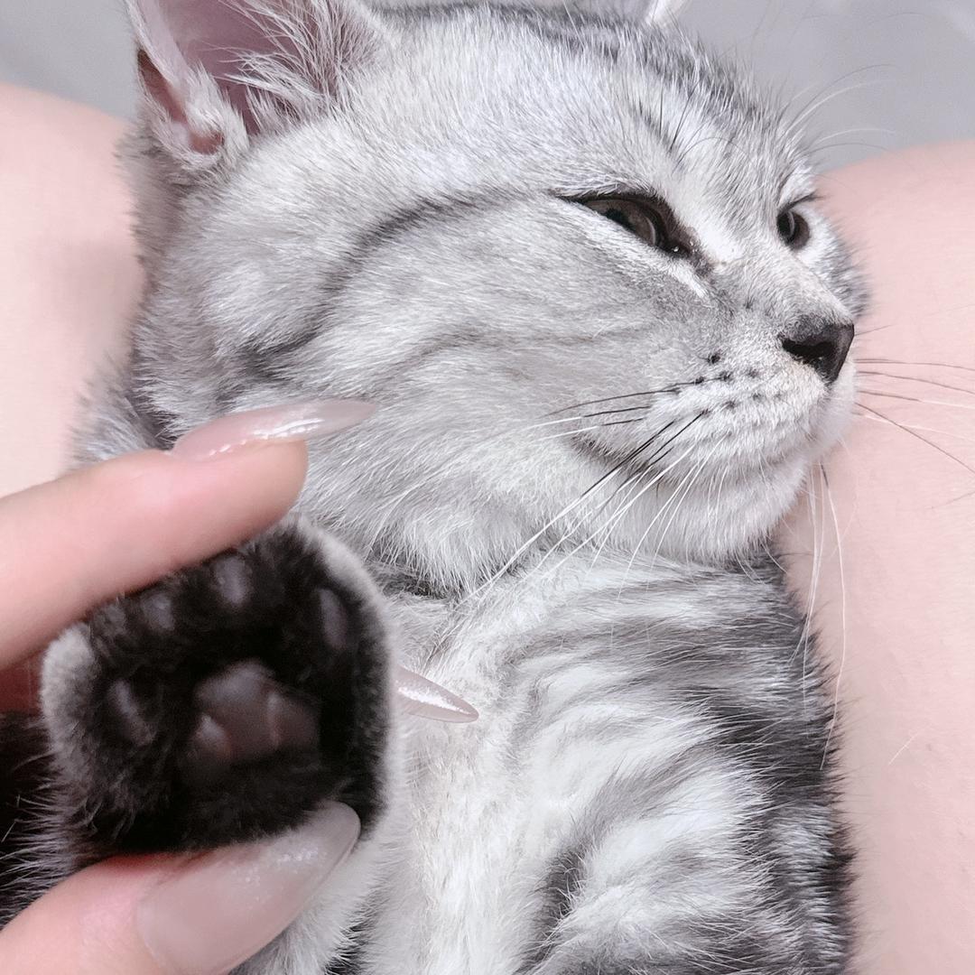 你的小可乐🕊️¹⁰²⁷