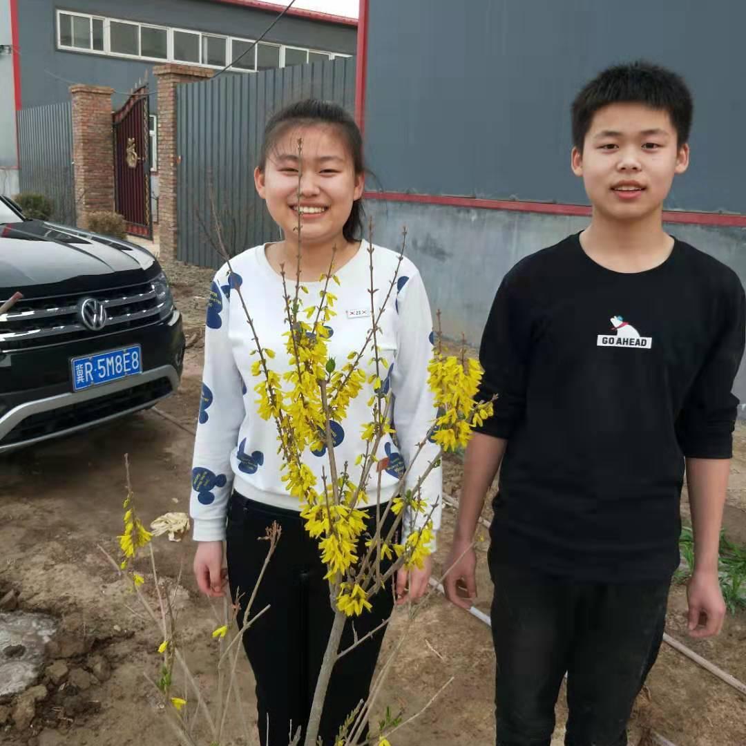 小叶紫檀，木梳，手串，工厂