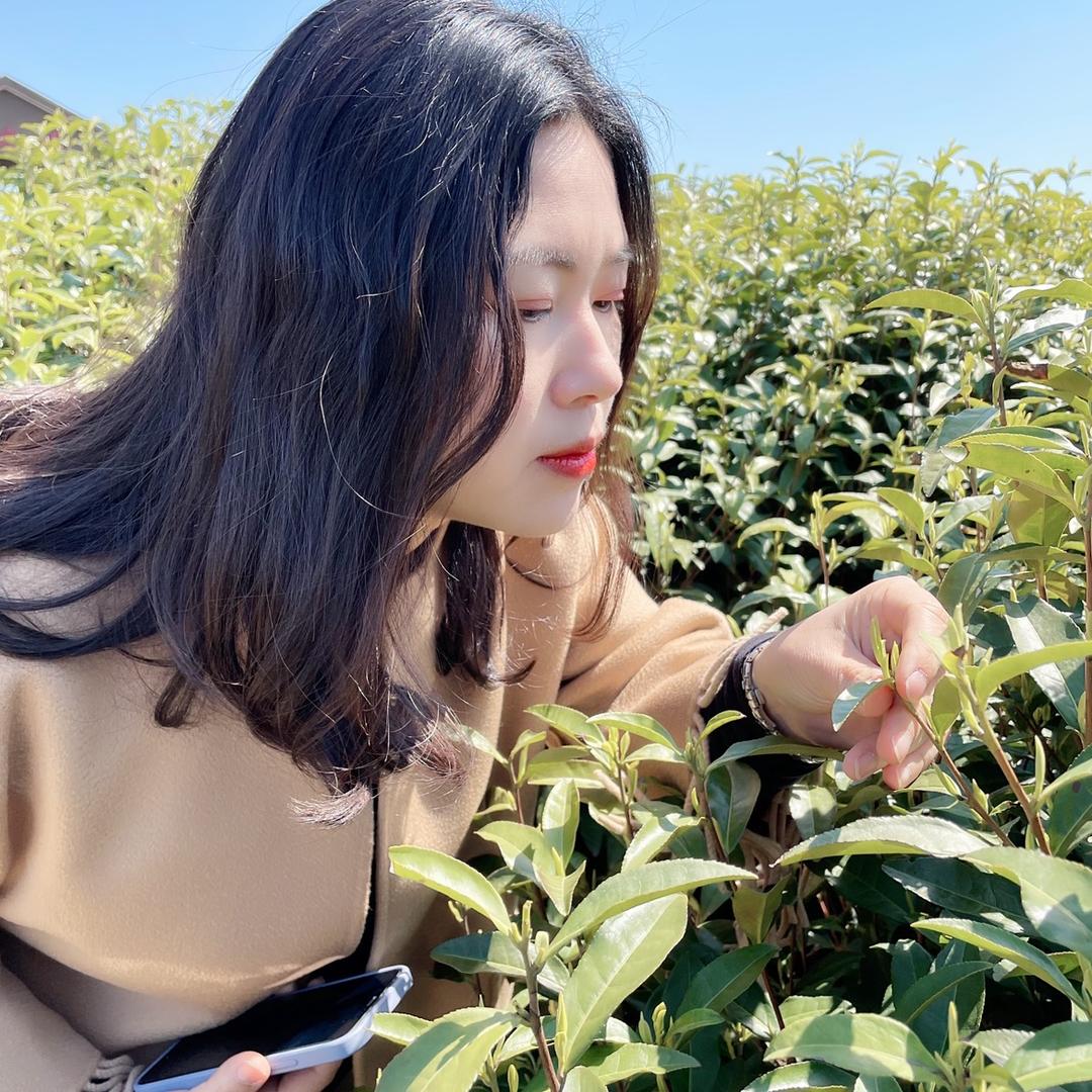 @丁丁的庄园