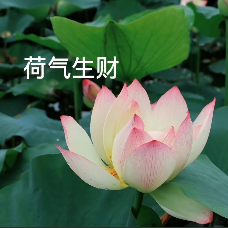 ㅤㅤㅤㅤㅤㅤㅤ ㅤㅤ零柒