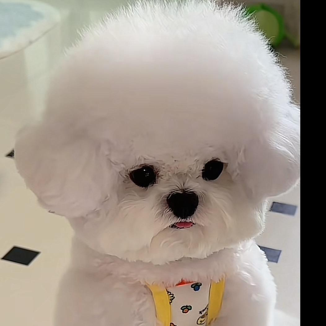 铁骨铮铮圥忈