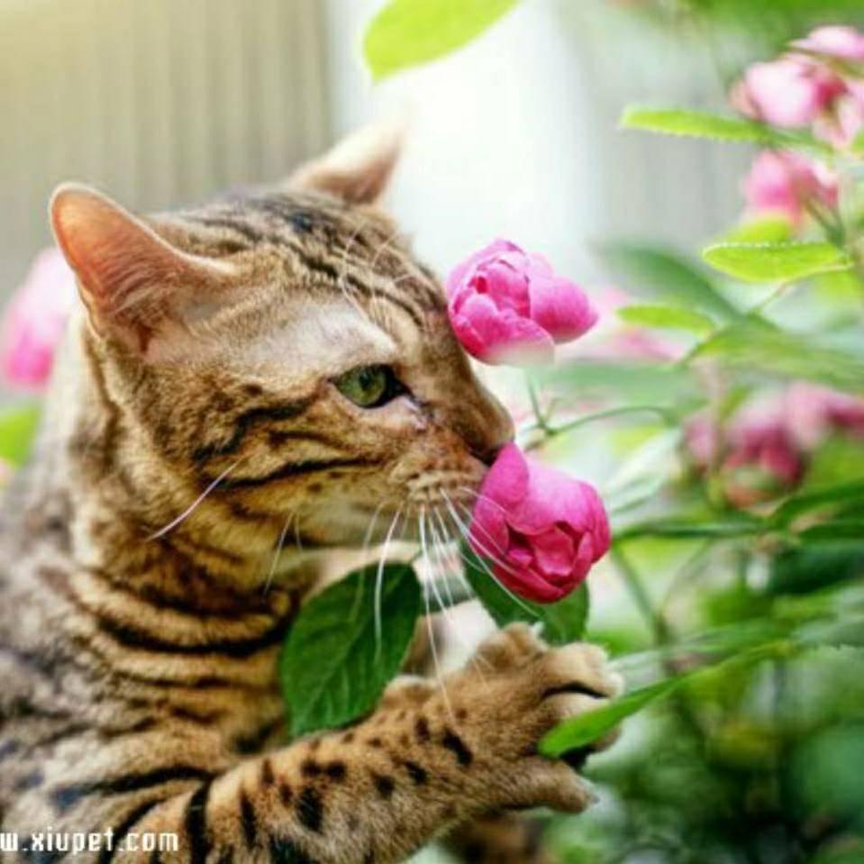 某某同学，你好！