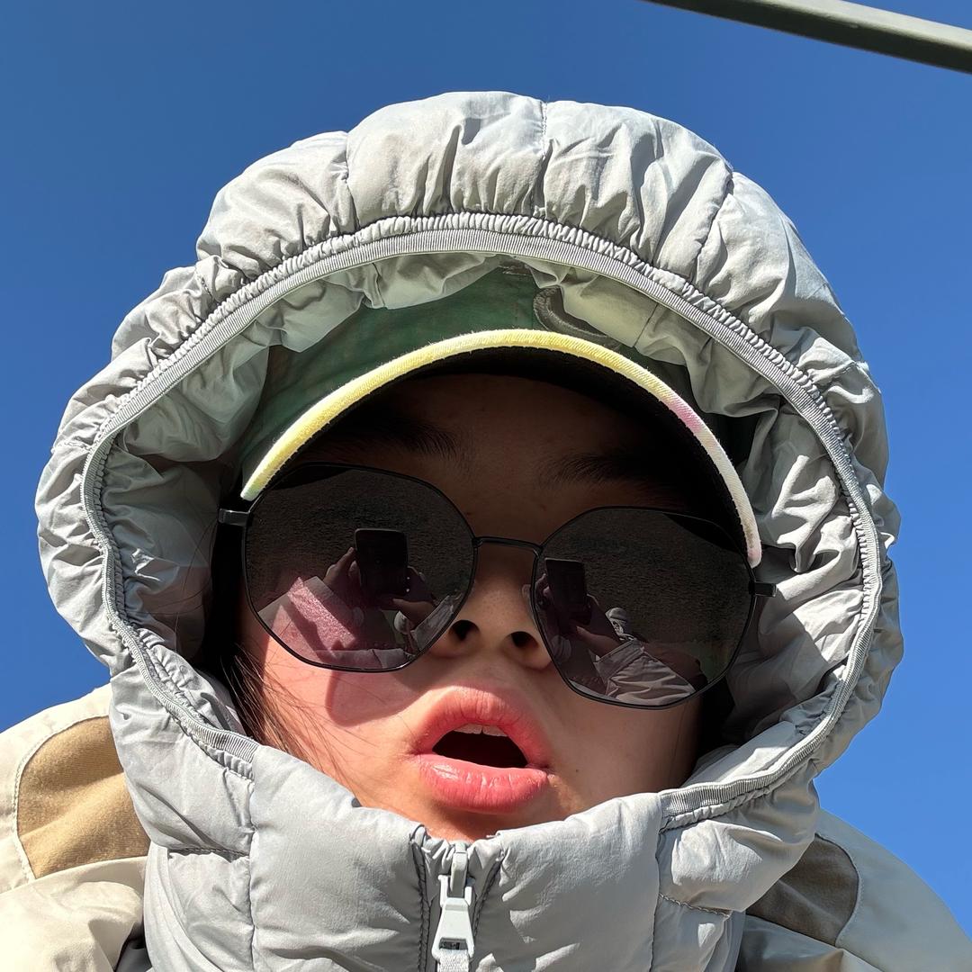 想旅行的李子