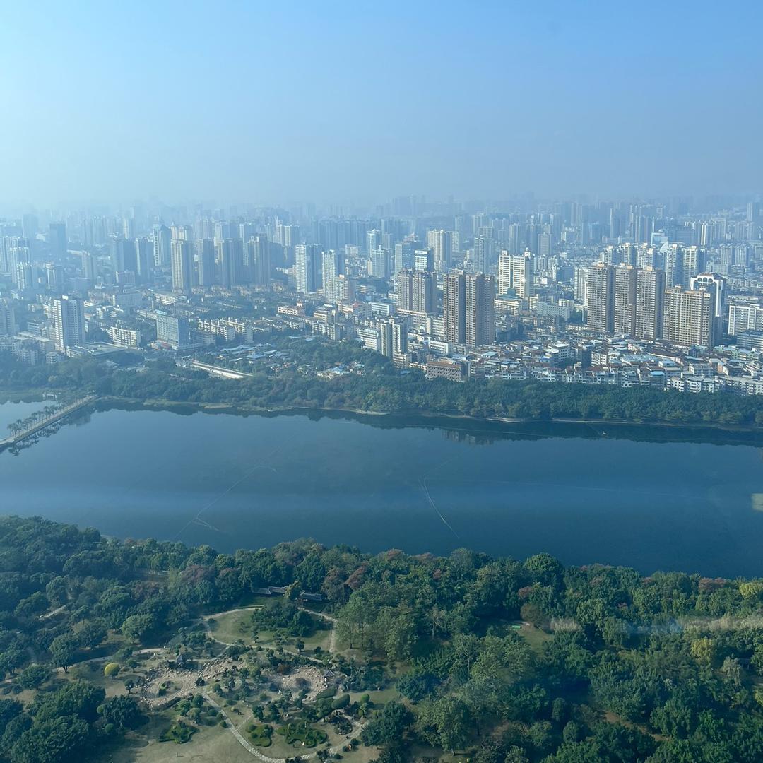 一条游来游去的鱼