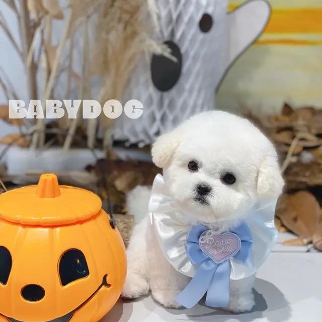 温州兰可琪绘本绘画Vivian