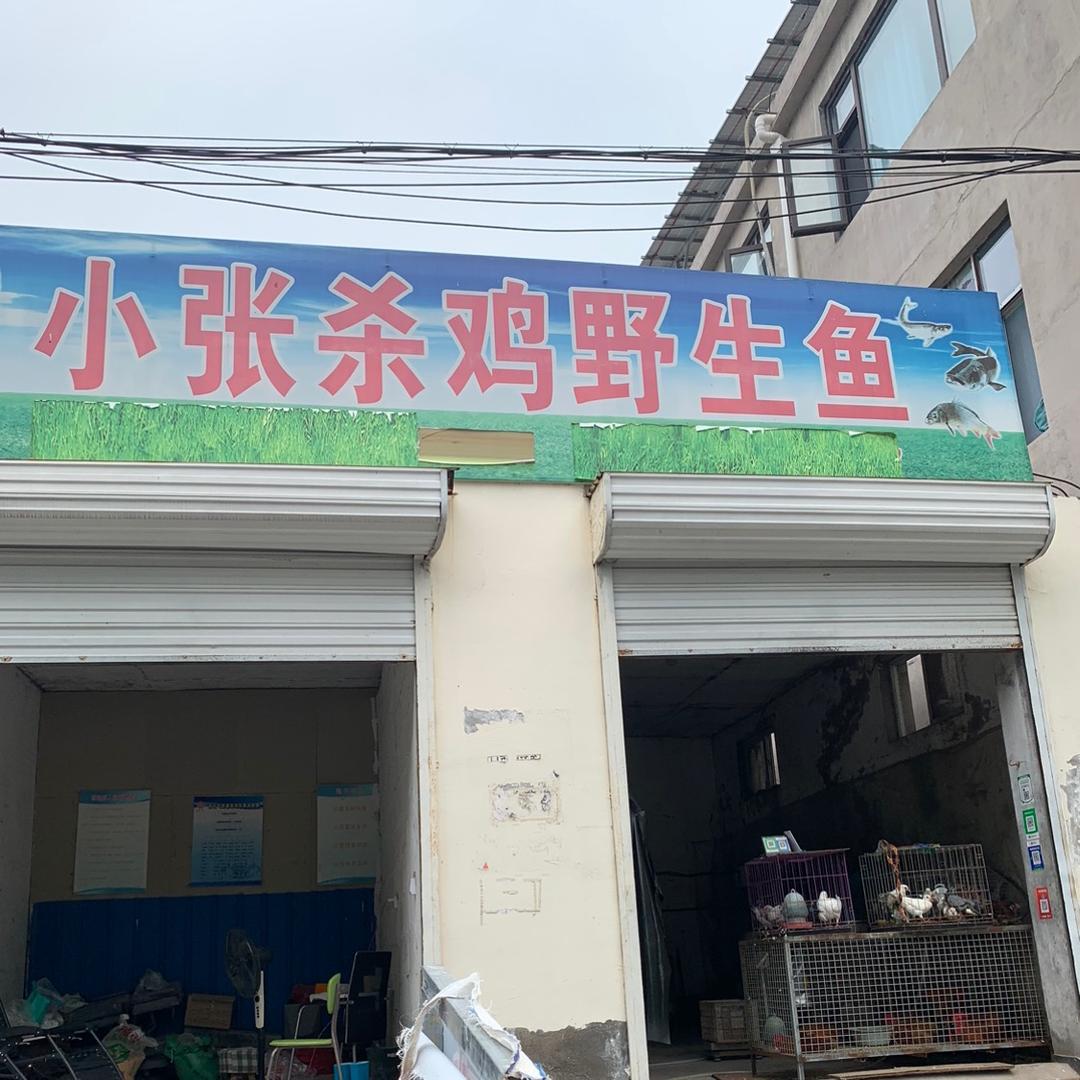 小张杀鸡野生鱼