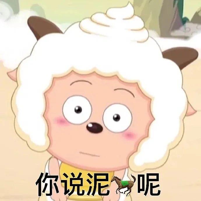 顺喜🧚