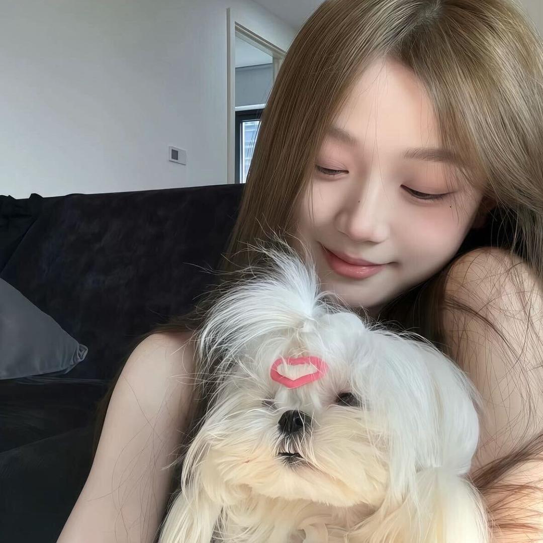 聪聪^