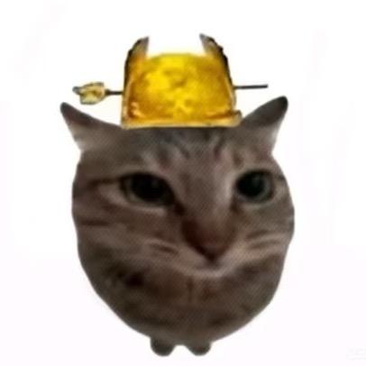 鱼辰