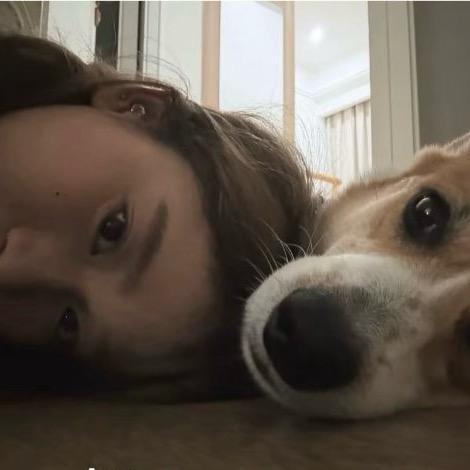 孤独的狼