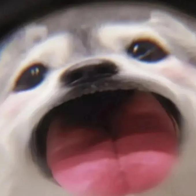 纸纸PAPER