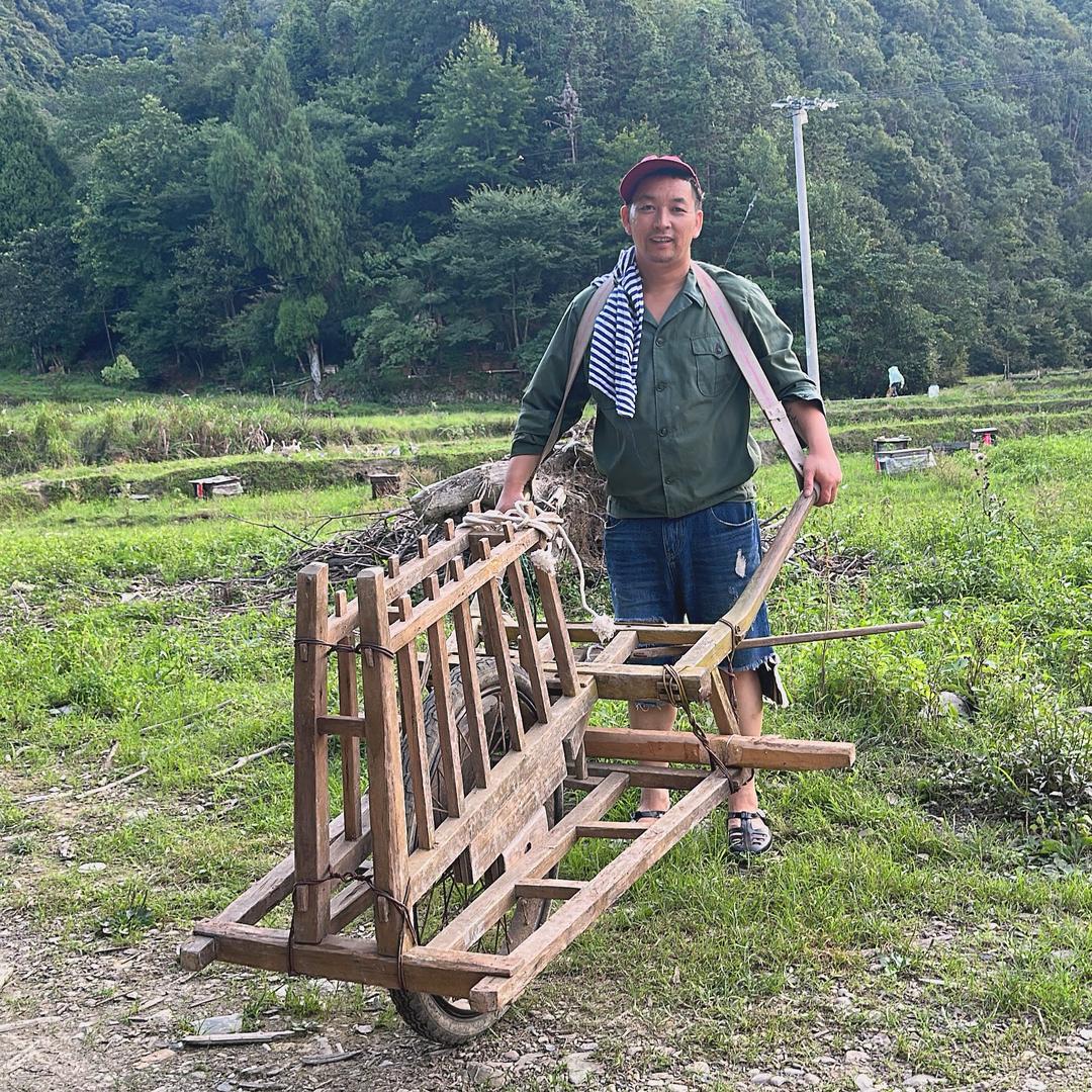 平哥：逗乐（探店/店铺直播）